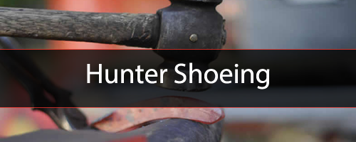Hunter_Shoeing